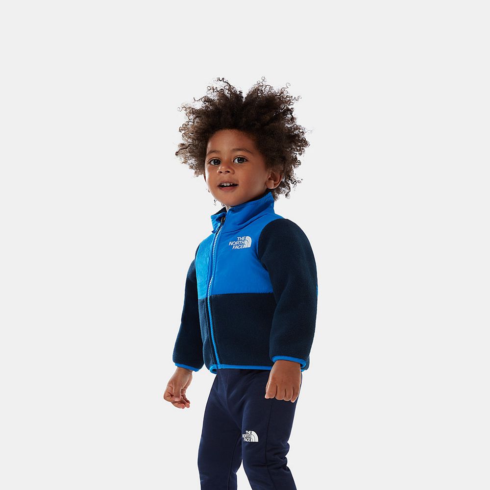 The North Face Waterproof Jackets Infant Australia - The North Face Denali Navy (SUN-374890)